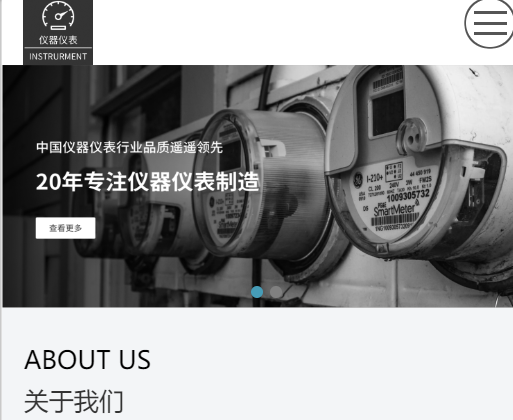 仪器仪表网站