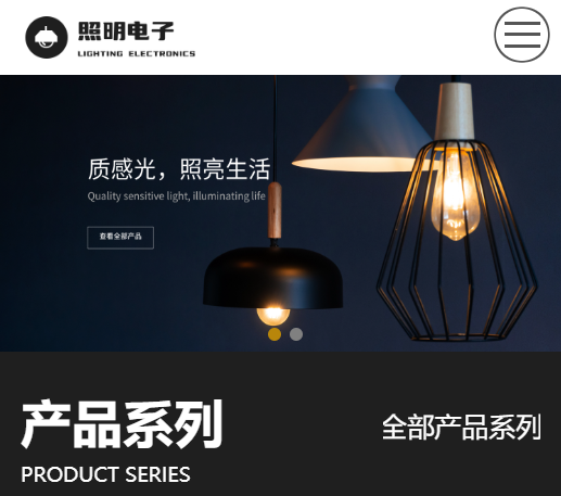 照明电子网站